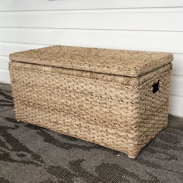 Pham Wicker Trunk | Wayfair North America