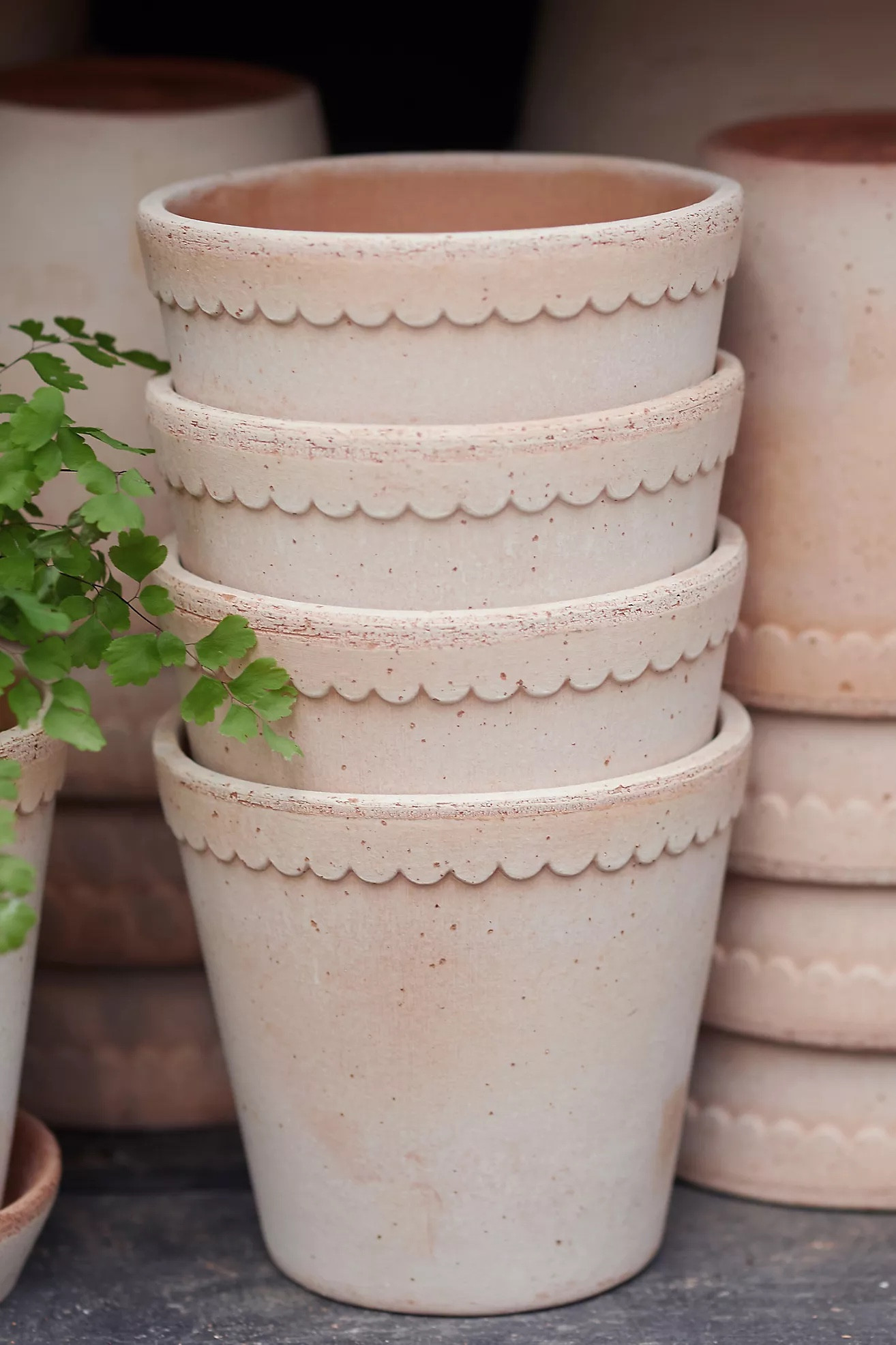 Obsessed with these Anthropologie planters 🤍 the scalloped edge, warm neutral tone, and timeless ceramic design make any plant feel instantly elevated. Perfect for shelf styling, windowsills, or a plant corner—such a beautiful way to refresh your home for spring.


Anthropologie planter, scalloped planter, ceramic planter, neutral home decor, plant styling ideas, spring home decor, indoor plants, aesthetic planter, boho home decor, cottagecore decor, shelf styling, windowsill decor, modern organic decor, houseplant inspiration, cozy home accents

#LTKHome #LTKSeasonal