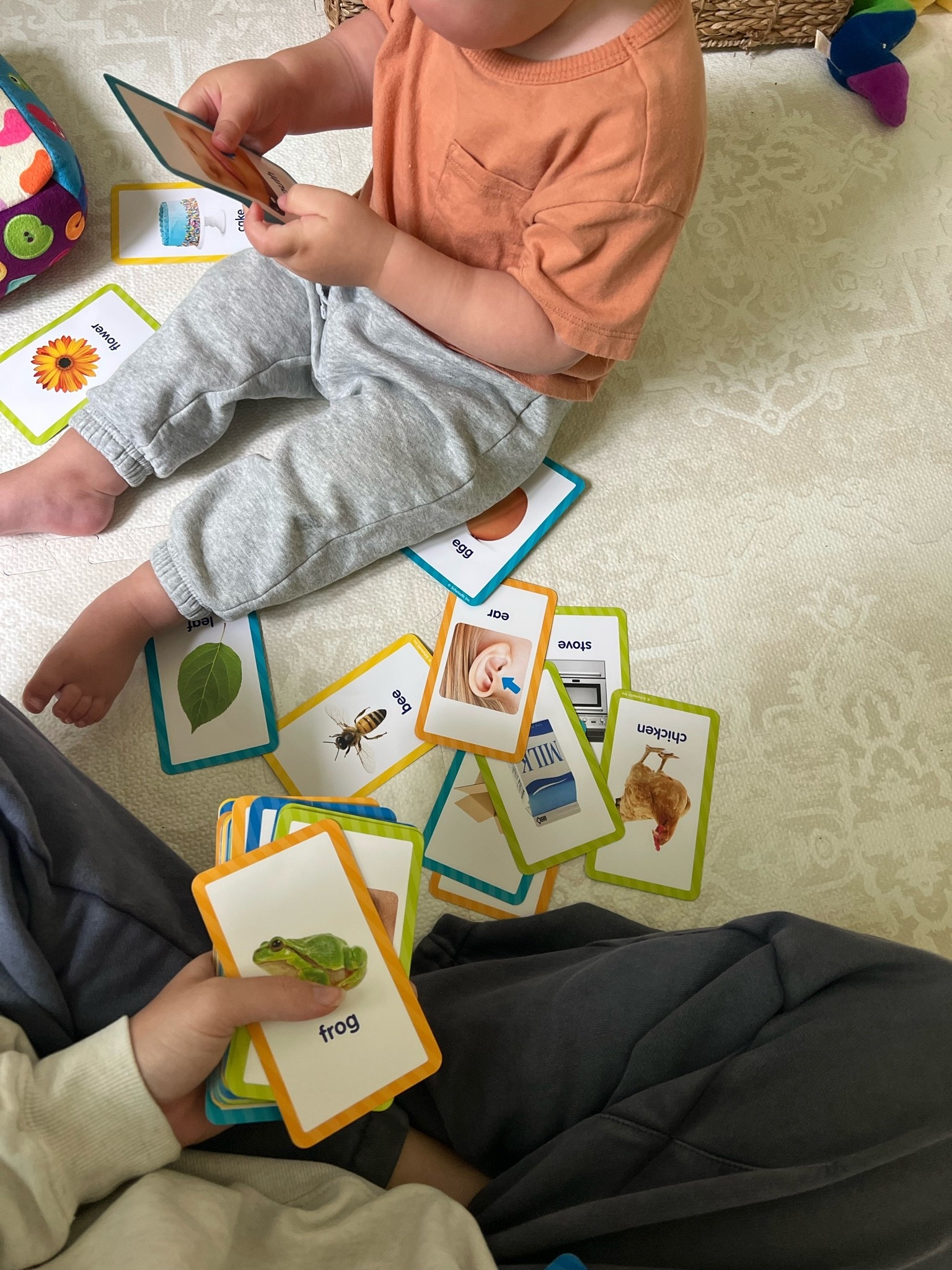 These flash cards from Amazon have helped my toddler learn so many new words, objects, sounds and actions.

#LTKBaby #LTKKids #LTKmomlife