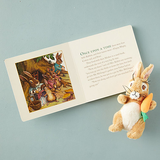 Peter Rabbit Book + Plush Toy | Terrain
