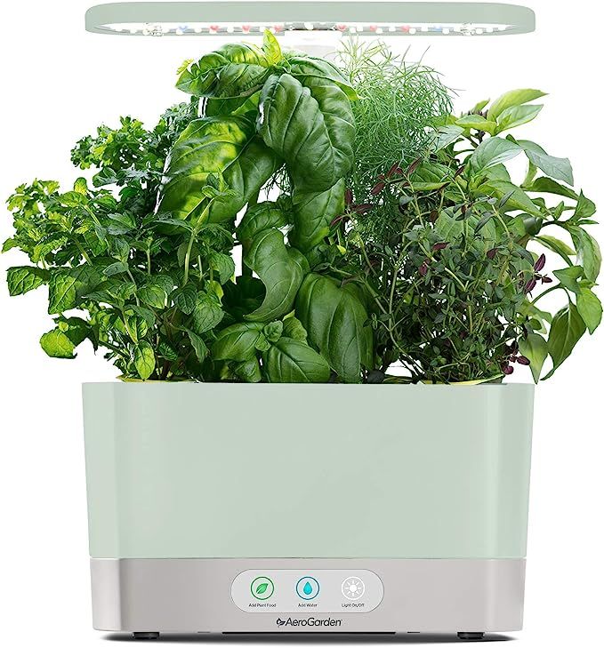 AeroGarden Harvest - Indoor Garden with LED Grow Light, Sage | Amazon (US)