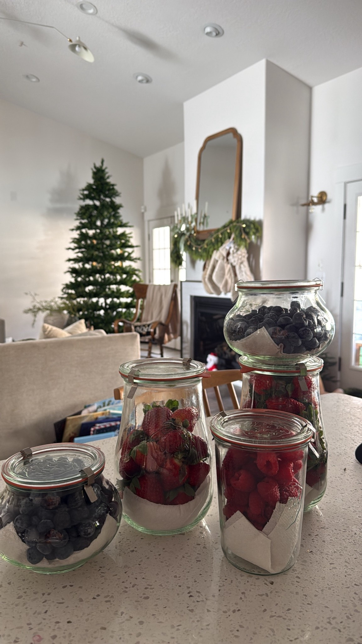 The best way to keep your fruit fresh for a long time! Weck jars are a game changer! 


#LTKFindsUnder100 #LTKHome #LTKGiftGuide