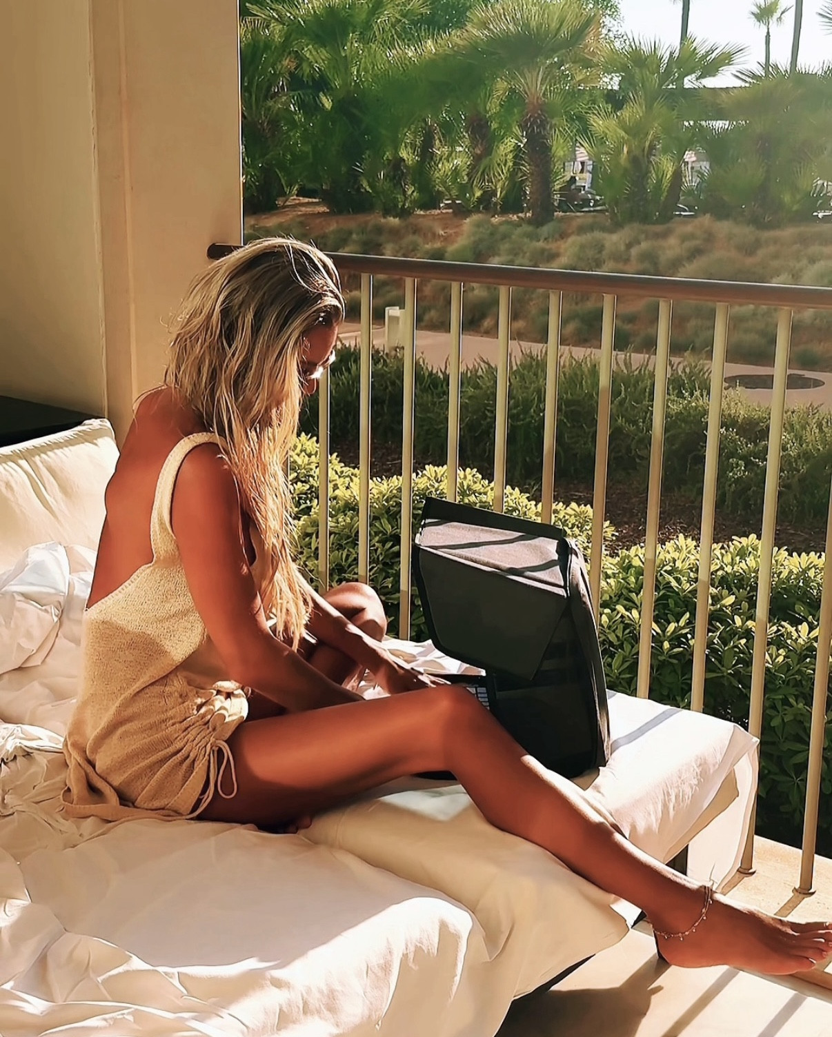 iPad/Laptop sunshade and travel case.