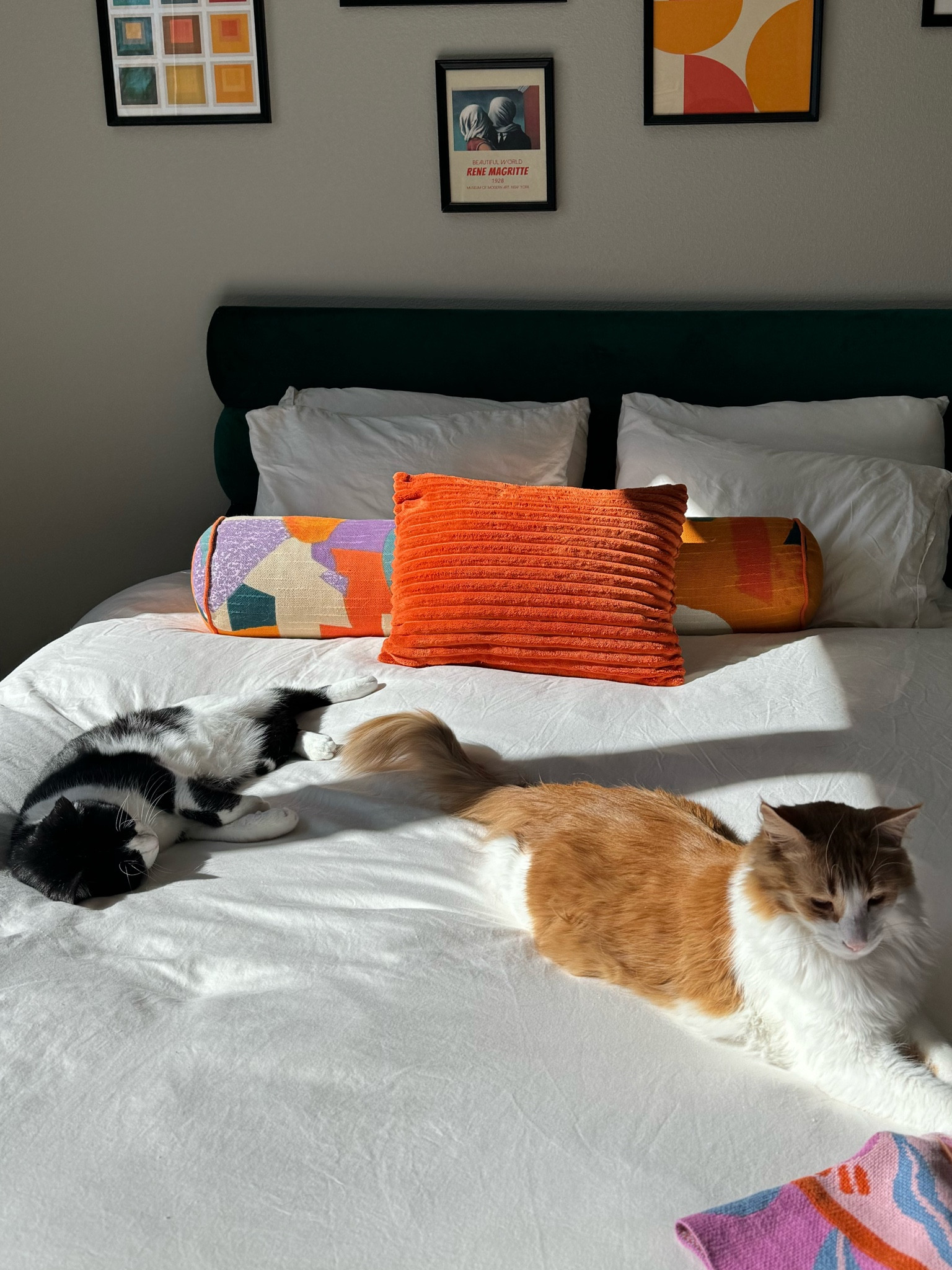 #LTKhome