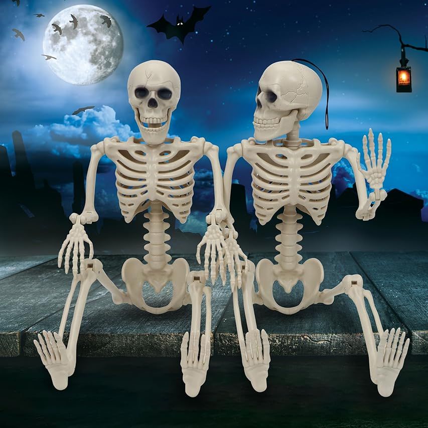 ZUPIIY Halloween Skeleton Life Size Clearance, 90/40/15 cm Full Body Posable Joints Skeletons Decor, | Amazon (US)