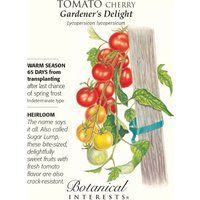Gardeners Delight Cherry Tomato Seeds - .15 Grams | Etsy (US)