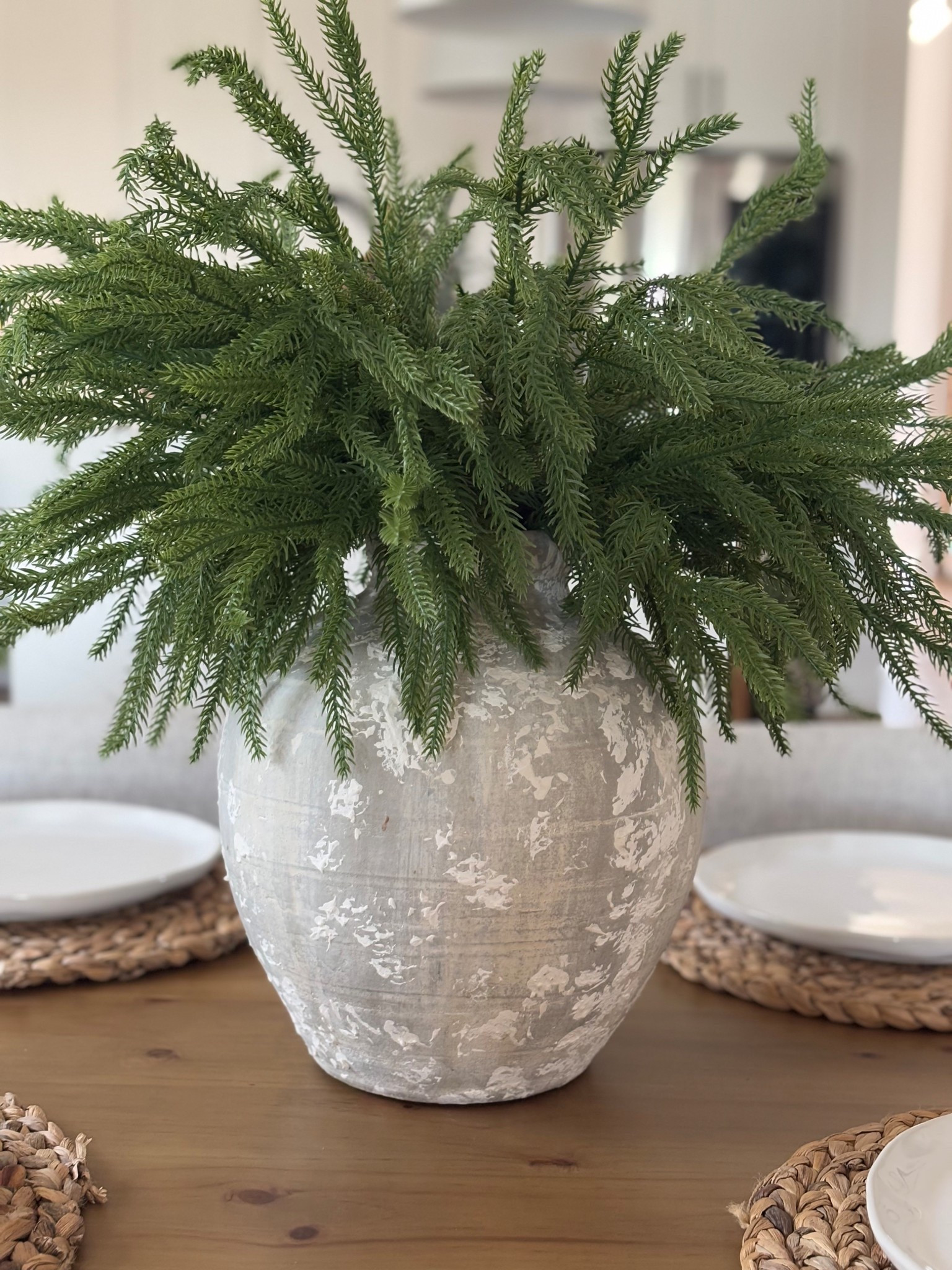  18.5 inches Christmas Norfolk Pine Branches for $20!!! This is one bundle! 


#LTKSeasonal #LTKHoliday #LTKHome