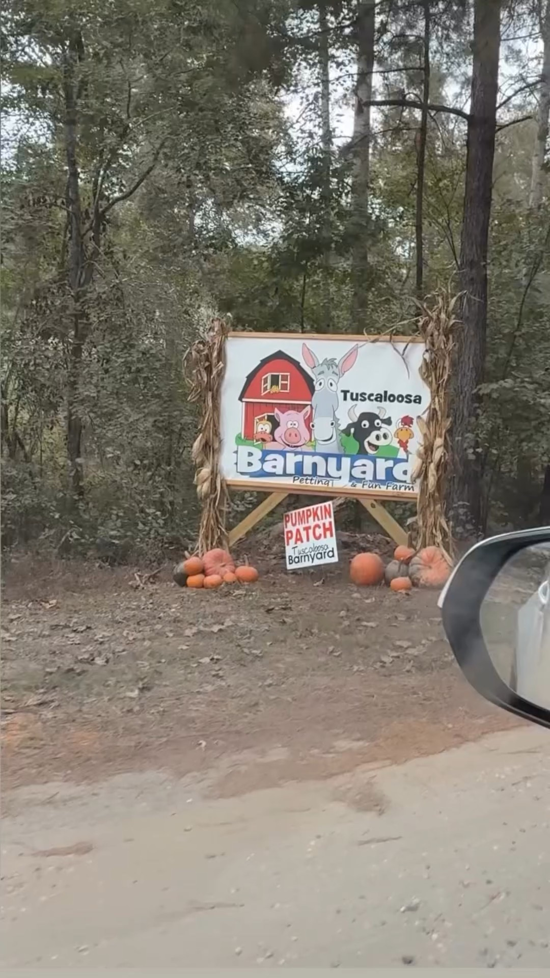 A day at the farm 🐓 🐴 🐷 🎃