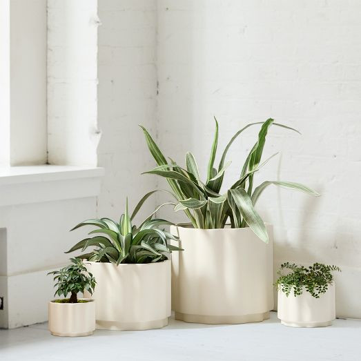 Wavy Ceramic Planters | West Elm (US)