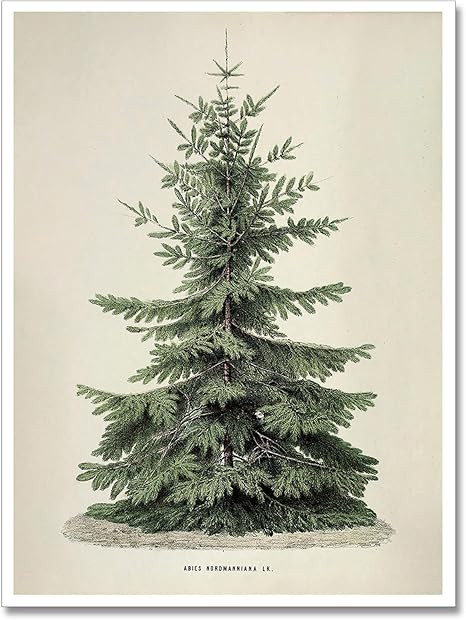 Huabsad Vintage Christmas Tree Wall Art Retro Winter Pine Botanical Aesthetic Pictures Prints Neu... | Amazon (US)