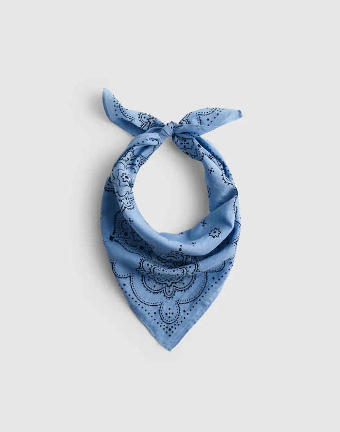 Organic Cotton Bandana | Madewell