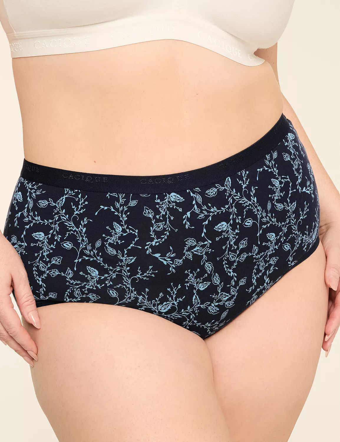 Cotton Full Brief Panty | Lane Bryant (US)