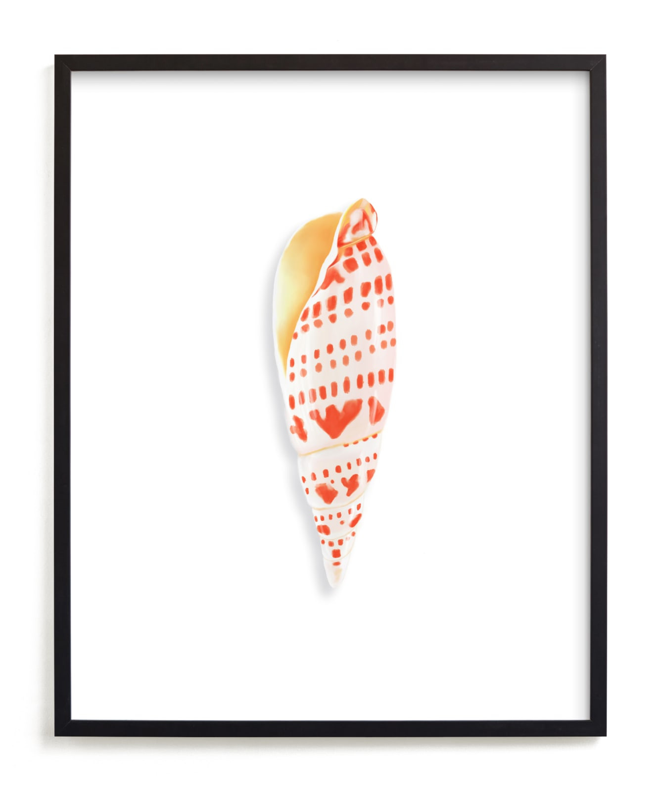Modern Junonia Shell | Minted