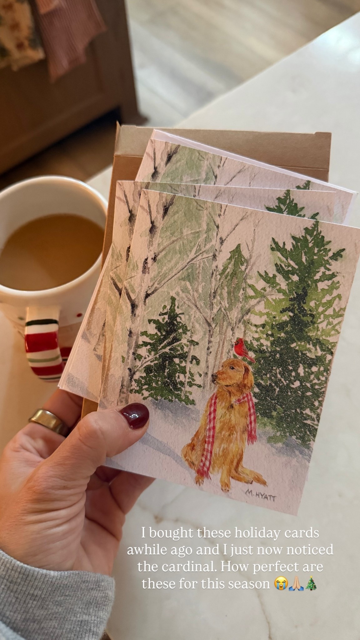 I bought these holiday cards awhile ago and I just now noticed the cardinal. How perfect are these for this season 😭🙏🏼🎄


#LTKGiftGuide #LTKHoliday #LTKFindsUnder50