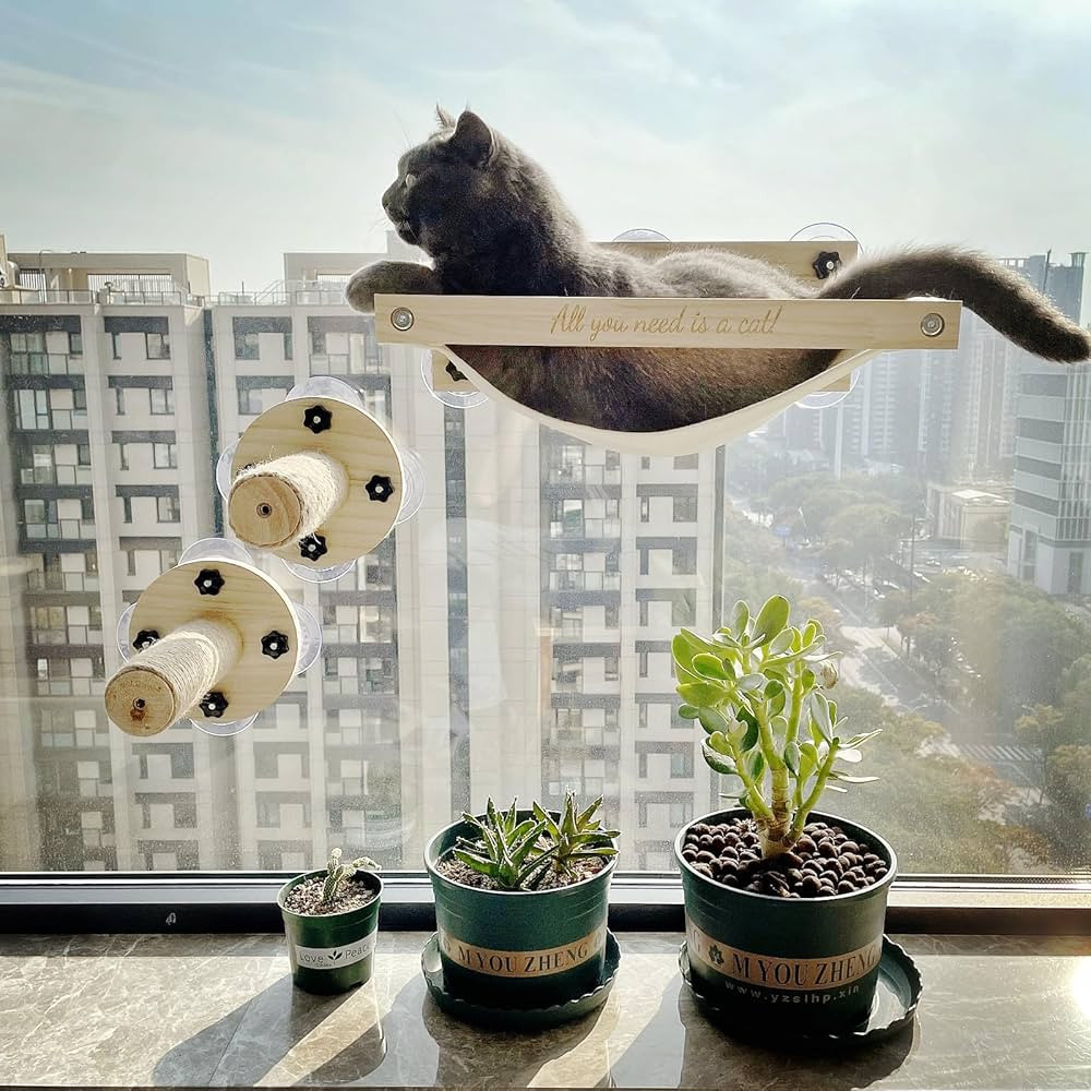 Cat window Perch And 2 Stairs | Amazon (US)