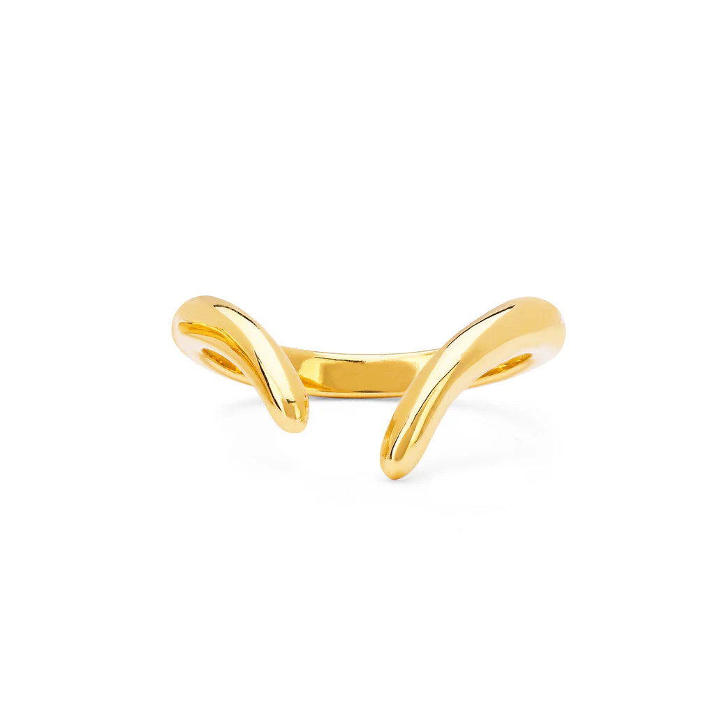 Solid Gold Tusk Ring | Logan Hollowell