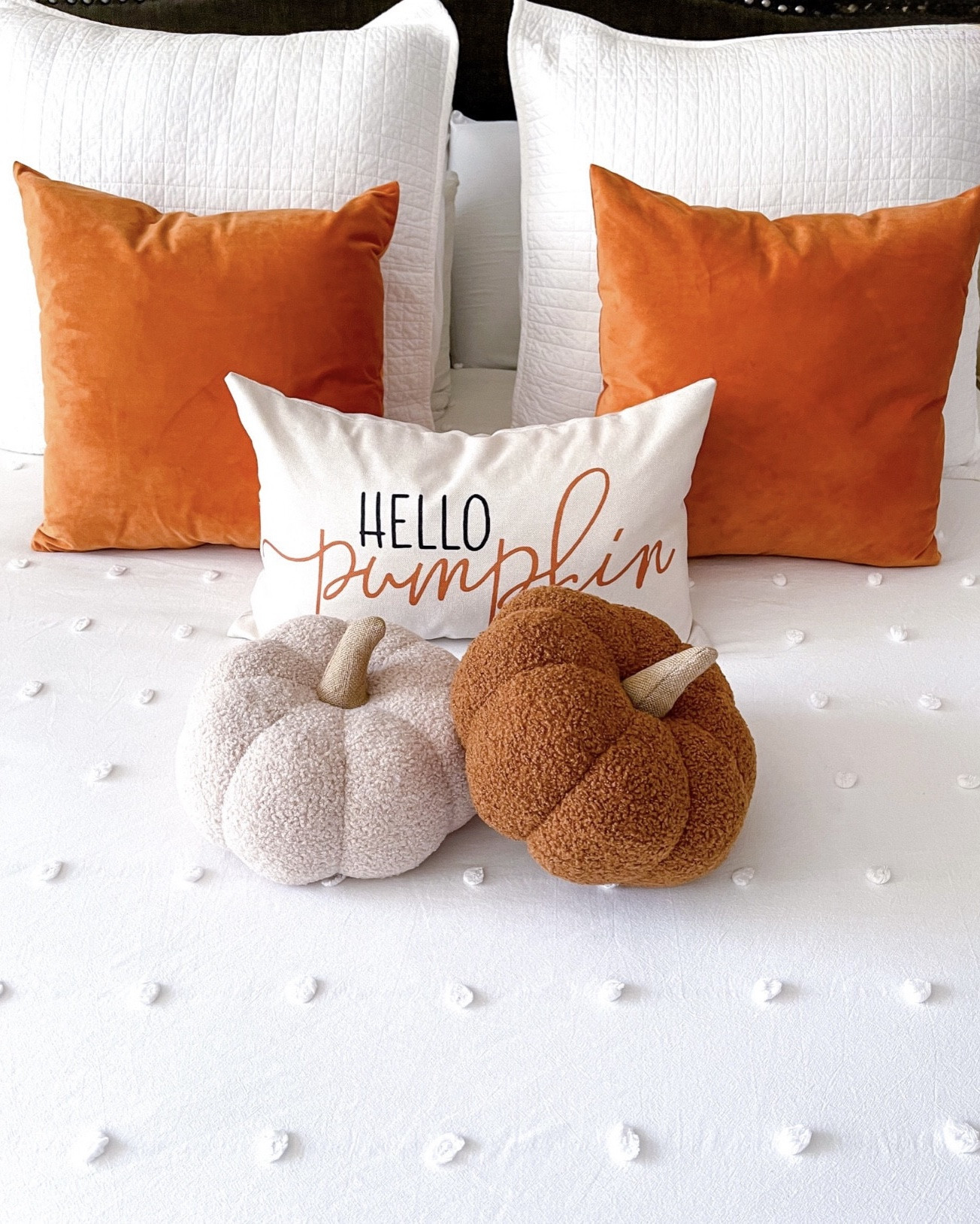 Fall bedding! 
Amazon fall throw pillow cases, set of 2/ pumpkin pillows/ 7Pieces Amazon Comforter Set/ Set of 27×27 Pillow inserts for the shams/ Casaluna throw blanket





#bedding #bedroomrefresh #bedroomdecor #amazonhome #targethome #LTKSummerSales #fallbedroom #falldecor #fall #autumn 
Fall bedroom refresh #LTKFamily #LTKFindsUnder100 #LTKFindsUnder50 #LTKStyleTip

#LTKHome #LTKSeasonal #LTKSaleAlert #LTKU