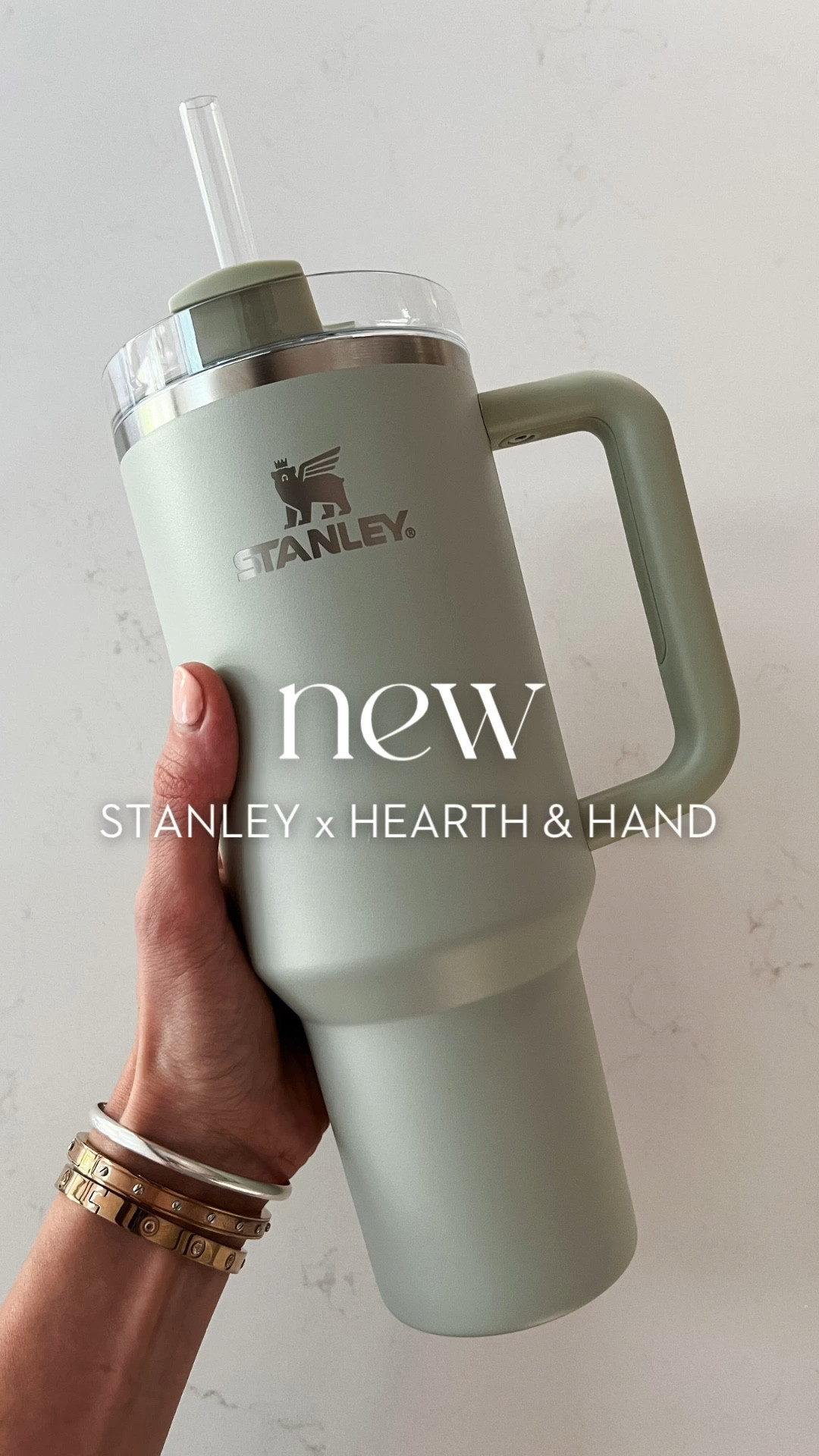 Stanley 40 oz Tumbler Hearth And Hand Magnolia *LIMITED EDITION* Serene  Green