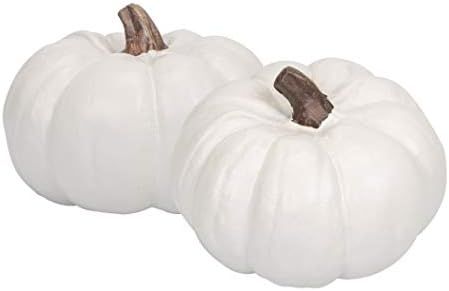 Elanze Designs Classic White 6 inch Resin Harvest Decorative Pumpkins Pack of 2 | Amazon (CA)