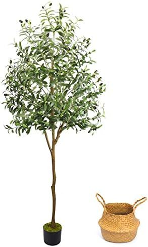 Artificial Olive Tree, 6ft Faux Olive Tree Plant with Woven Planter and Moss, Realistic Olive Bra... | Amazon (US)
