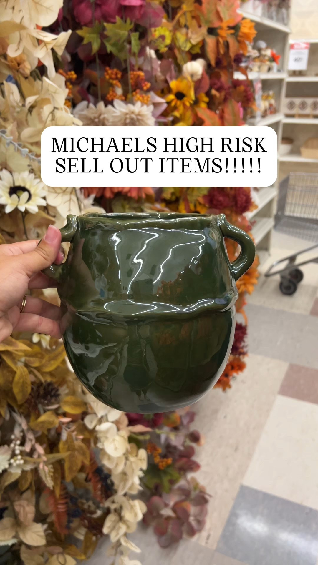 Fall is in Michaels!!! 🍂🍁

#LTKHome #LTKSeasonal