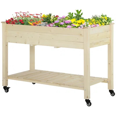 Elevated Garden Bed With Wheels And Storage Shelf For Outdoor Gardening | Wayfair North America