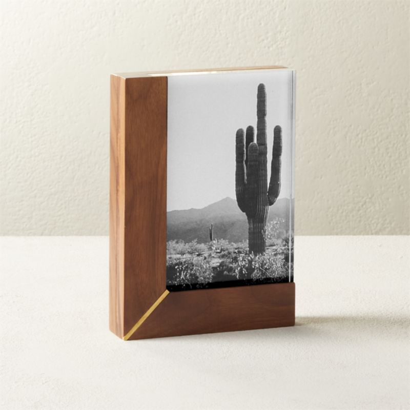 Rudd Walnut and Acrylic Picture Frame 4"x6" + Reviews | CB2 | CB2