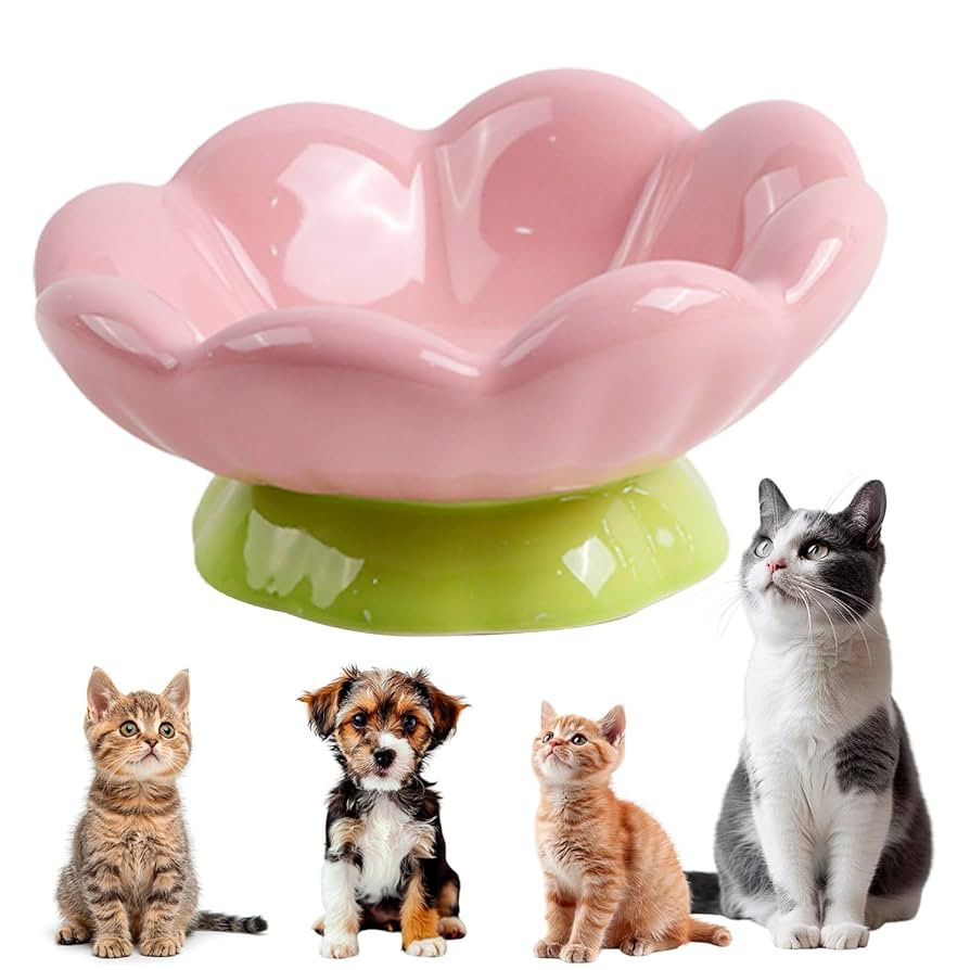 Ceramic Raised Cat Bowl, Pink Elevated Food Bowls for Food and Water Protecting Spine and Whisker... | Amazon (US)