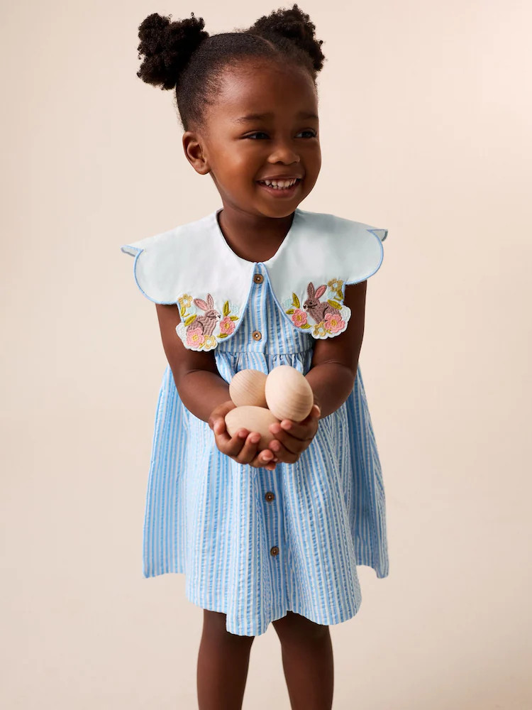Blue Striped Collared Summer Dress (3mths-7yrs) | Next US