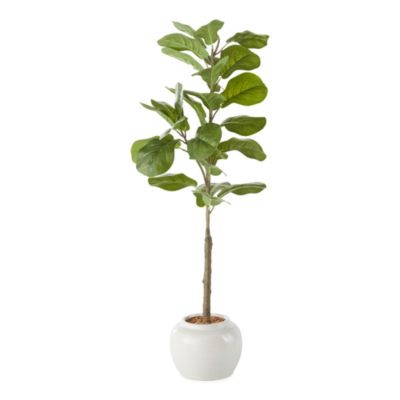 Linden Street 48" Fiddle Fig Artificial Plant | JCPenney