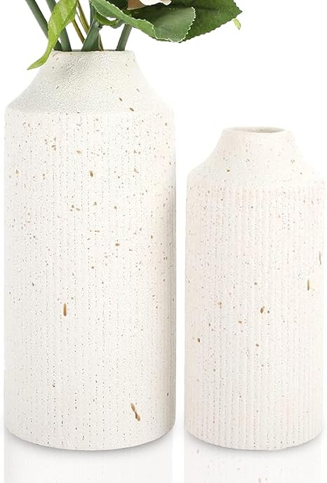LiteViso Ceramic Rustic Farmhouse White Vase Set for Home Decor, Set of 2 Distressed Modern Potte... | Amazon (US)