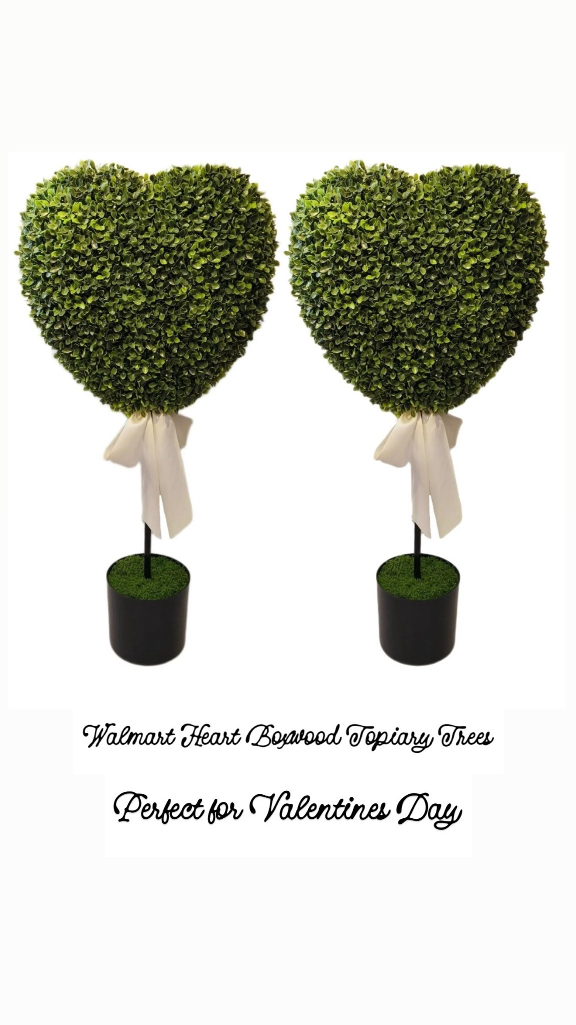 Walmart Heart Boxwood Topiary Tree! 🩷♥️ Perfect for Valentine’s Day!

#LTKHoliday #LTKFindsUnder100 #LTKSeasonal