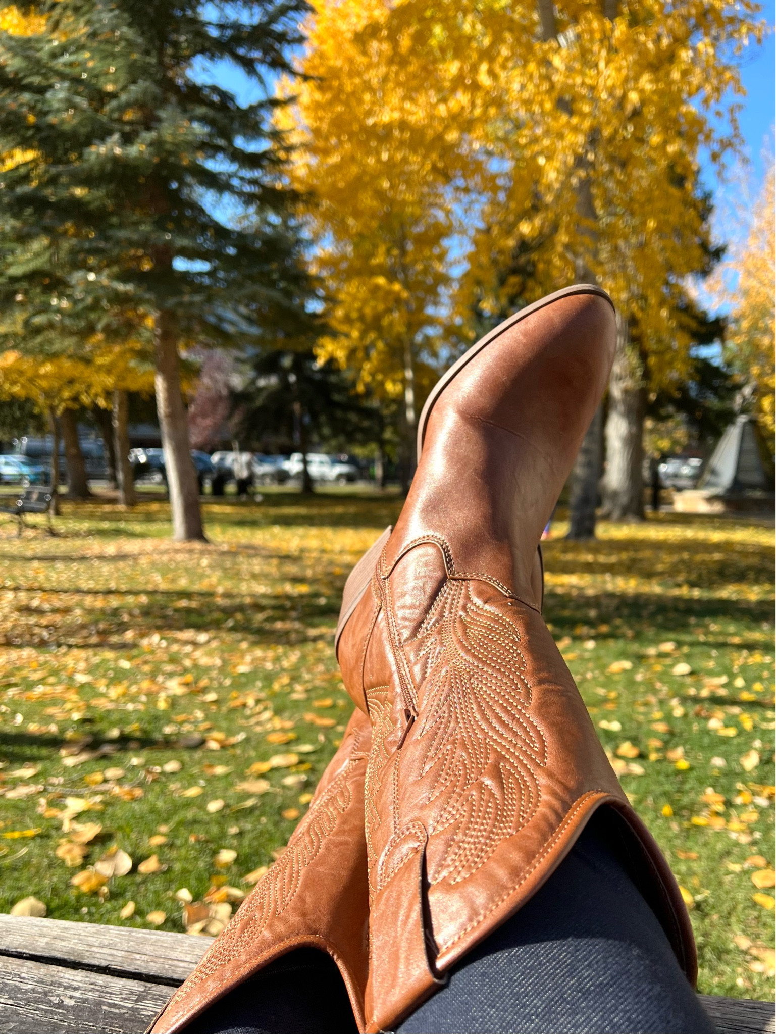 Fall boots under $50





#LTKFindsUnder50 #LTKSeasonal #LTKShoeCrush