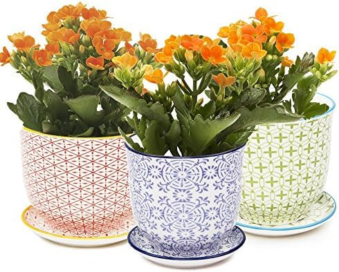 Chive ‘Liberte’ Ceramic Planter Pot — Cute, Beautiful Plant Pots for Indoor & Outdoor Flowers & Hous | Amazon (US)