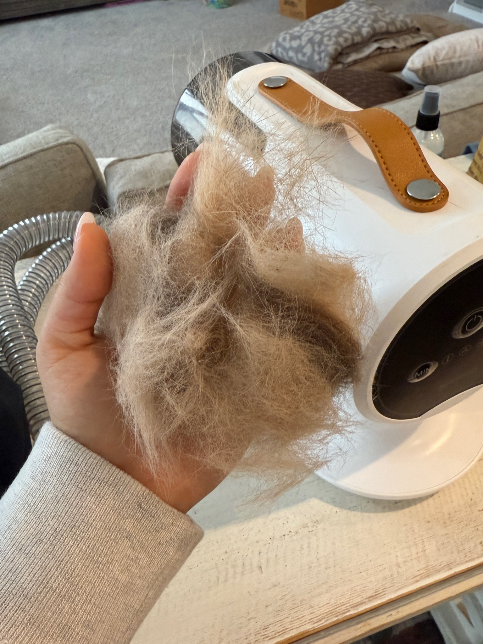 Do I have a pet lion? No. But it sure looks like it lol. Linking all my fav new puppy essentials on sale for BFCM including this new dog hair vacuum/groomer. 

#LTKFamily #LTKCyberWeek #LTKGiftGuide