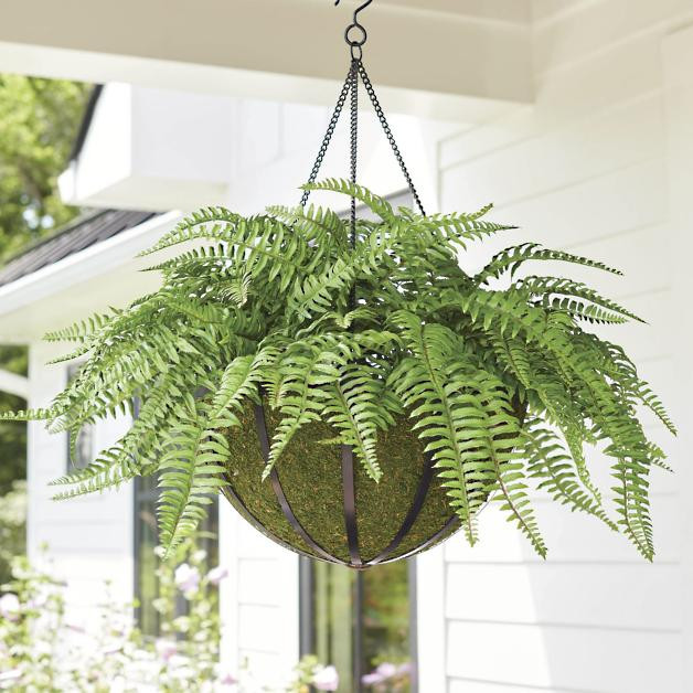 Classic Fern Hanging Basket | Grandin Road | Grandin Road