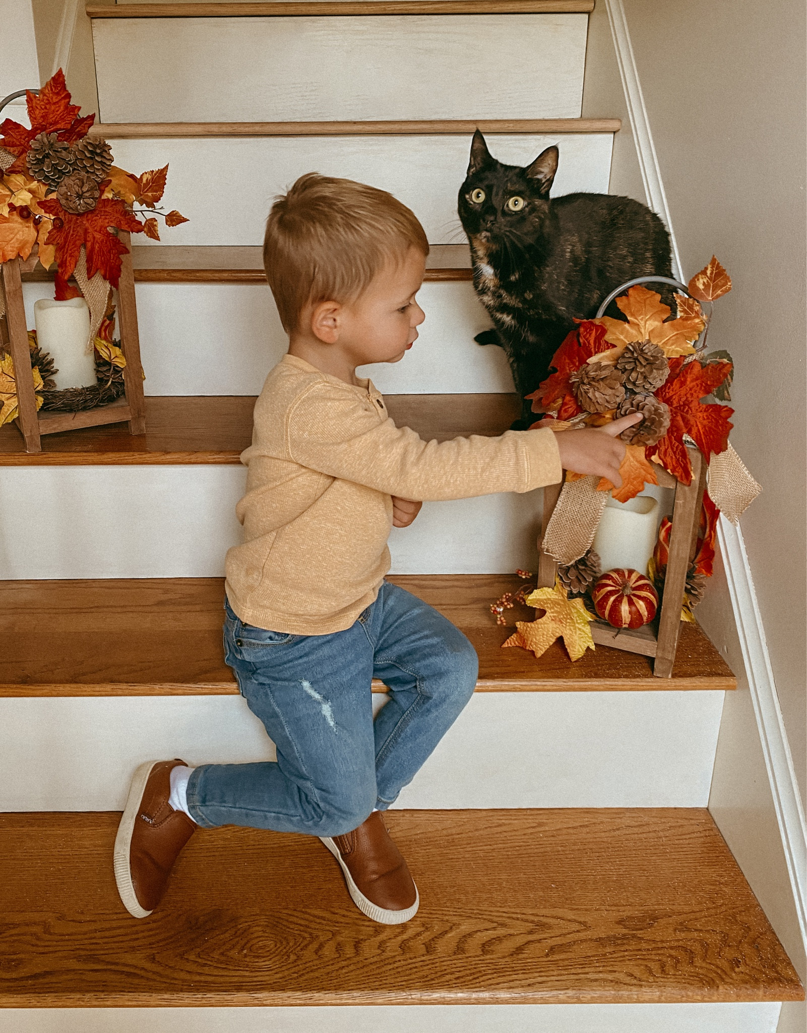 Fall vibes all day! 🍁🐈‍⬛

#LTKSeasonal #LTKkids #LTKHalloween