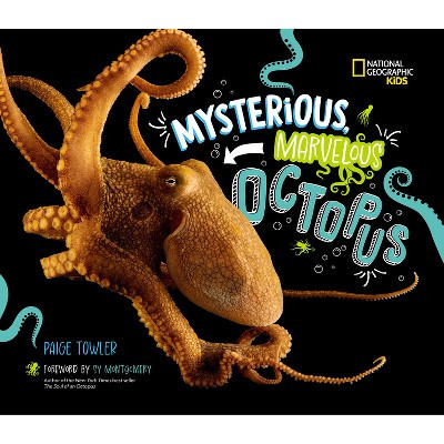 Mysterious, Marvelous Octopus! - by  Paige Towler (Hardcover) | Target