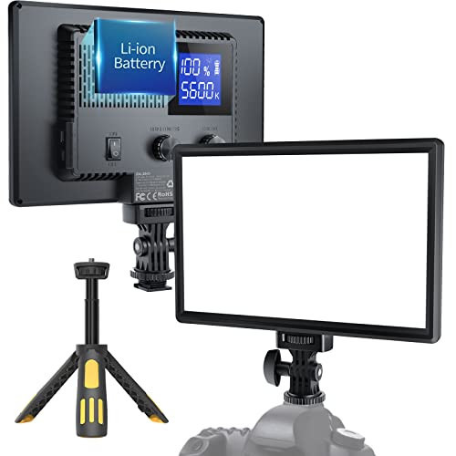 RALENO LED Video Light, Camera Light for Pictures Video Recording with 4000mAh Battery Support Type-C USB Power Supply, CRI>95 3200K-5600K Photo Lights for Outdoor Photography Live Streaming Zoom Call | Amazon (US)