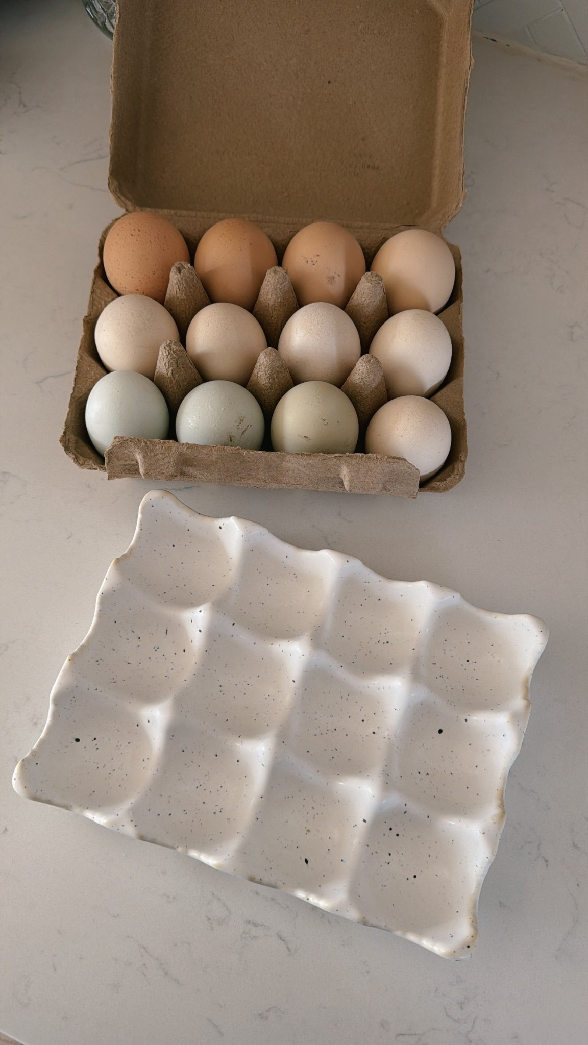 Ceramic egg crate that’s under $15! Comes in three colors!

