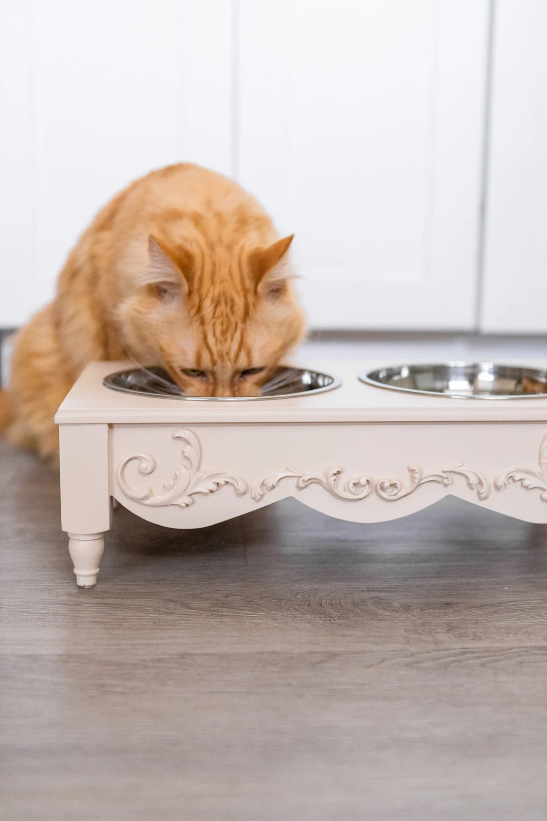 Farmhouse Chic Elevated CAT Food Bowls Raised Dog Pet Feeder - Etsy | Etsy (US)