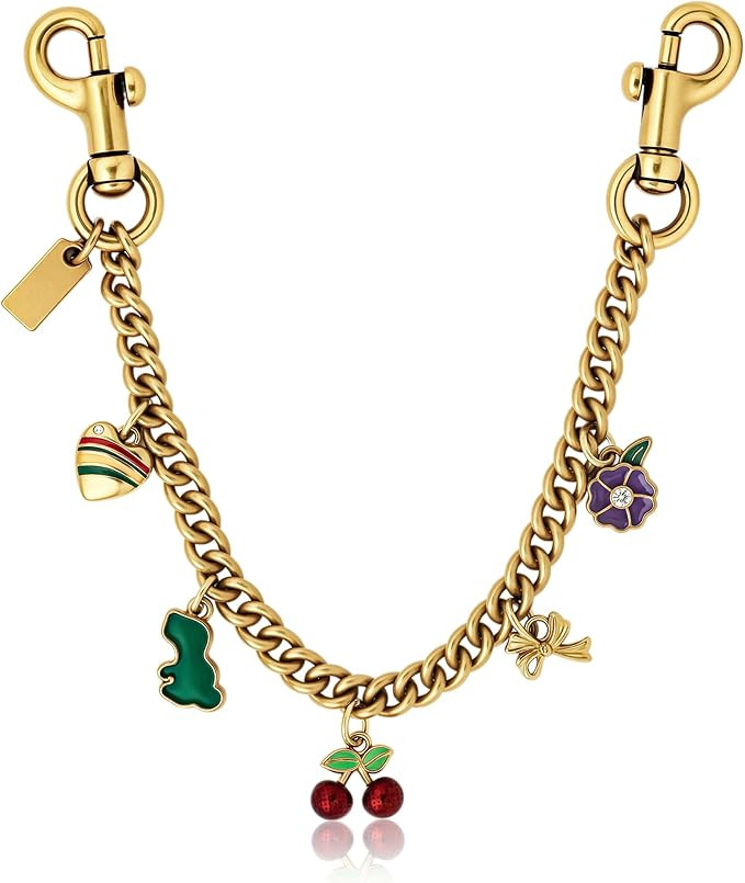 Bag Chain Charm for Handbag, Purse Wallet &Pants Chain Jean Chains, Vintage Bag Strap Chains Exte... | Amazon (US)