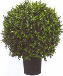 Silk Tree Warehouse Company Inc Two 2 Foot Outdoor Artificial Boxwood Ball Topiary Bushes Potted ... | Amazon (US)