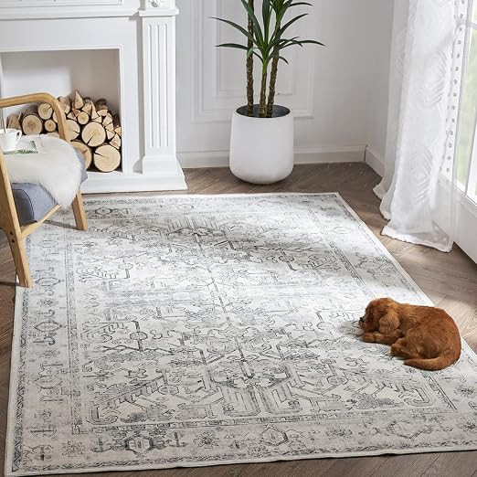 jinchan Area Rug 5x7 Washable Persian Rug Living Room Vintage Rug Boho Area Rug Non Slip Accent R... | Amazon (US)