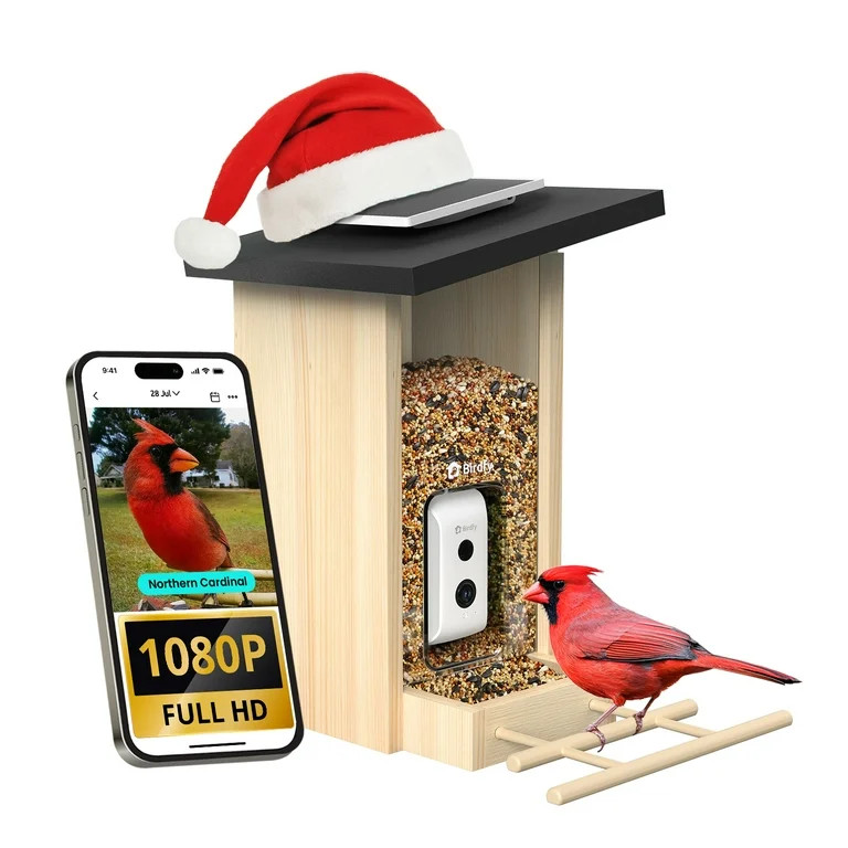 Birdfy Smart Bird Feeder with Camera, Bird Watching Camera with Solar Panel, AI Identify 6000+ Sp... | Walmart (US)
