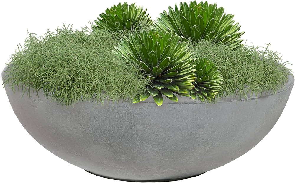Sunnydaze Percival 20.75" Shallow Outdoor Planter Bowl for Flowers and Succulents - Polyresin Dou... | Amazon (US)