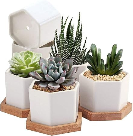 6 Pack Succulent Plant Pots - OAMCEG 2.75 inch Mini Succulent Planter, Set of 6 White Ceramic Suc... | Amazon (US)