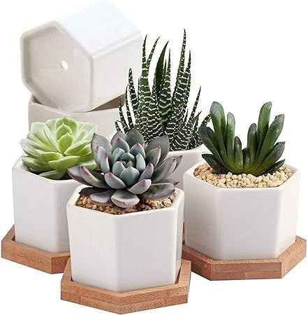 6 Pack Succulent Plant Pots - OAMCEG 2.75 inch Mini Succulent Planter, Set of 6 White Ceramic Suc... | Amazon (US)