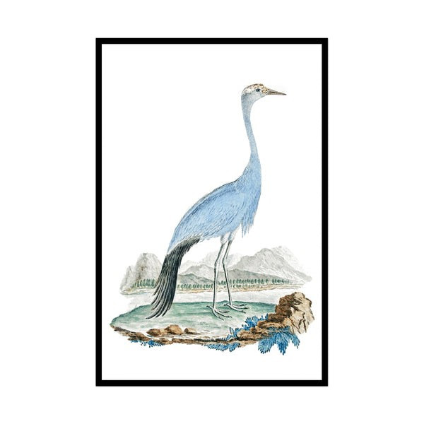 Elegant Beauty No. 1 | Urban Garden Prints