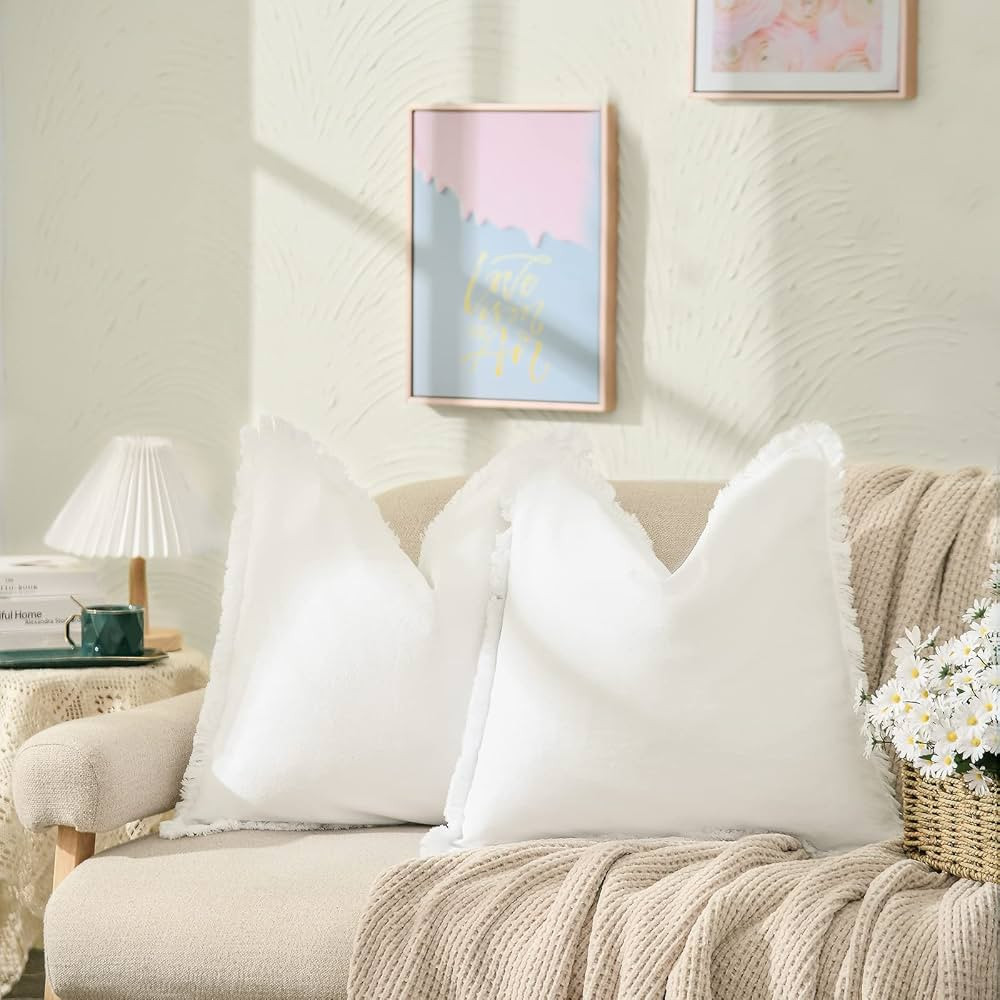 18x18 Inch,Set of 2 | Amazon (US)